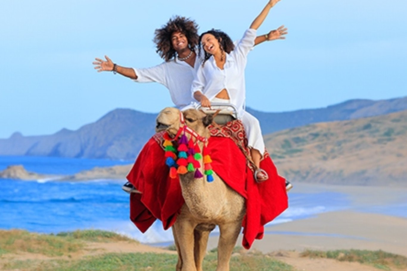 Camellos (parejas)
